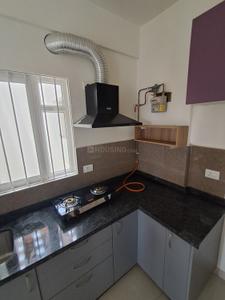 Kitchen Image of 1010 Sq.ft 3 BHK Apartment / Flat for rent in Sattva Bliss, Budigere Cross Bengaluru for Rs. 35000
