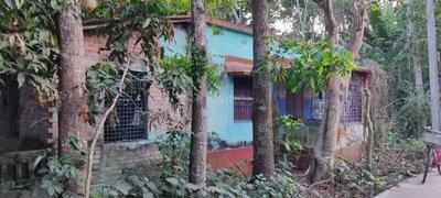 Image of 28800 Sq.ft Residential Plot / Land for sale in Gobardanga, North 24 Parganas District for Rs. 2200000