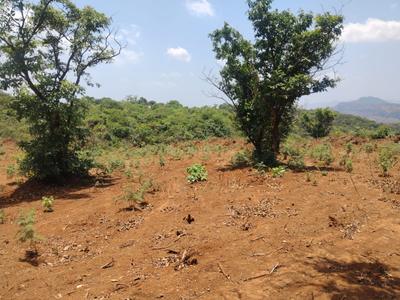 Image of 40000 Sq.ft Residential Plot / Land for sale in Bhor, Pune for Rs. 1500000