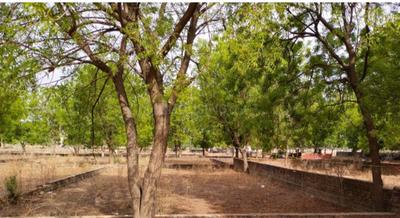 Image of 350 Sq.ft Residential Plot / Land for sale in Koba, Gandhinagar for Rs. 42000000