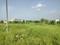 YEIDA Individual Residential Plots Main Image 1