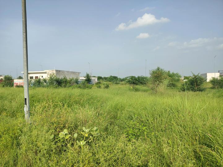 YEIDA Individual Residential Plots Main Image 1