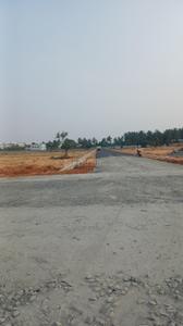 Perur Plot View 3