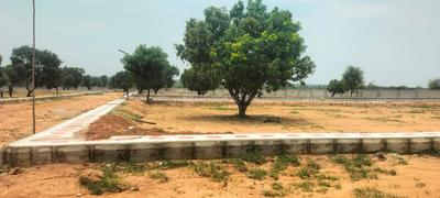 Image of 165 Sq.ft Residential Plot / Land for sale in Shadnagar, Ranga Reddy for Rs. 2293500