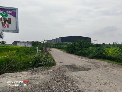 Image of 500 Sq.ft 12 BHK Farm House for sale in Chaksu, Jaipur for Rs. 7000000