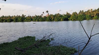 Keralarealty Plot View 3