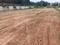 Thathaguni Plot View 2