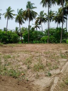 Image of 13000 Sq.ft Residential Plot / Land for sale in Jawahar Bazaar, karur for Rs. 6000000
