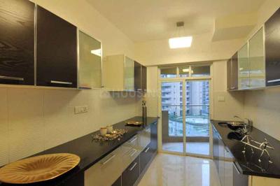 Kitchen Image of 4200 Sq.ft 6 BHK Apartment / Flat for sale in Khar West Mumbai for Rs. 240000000