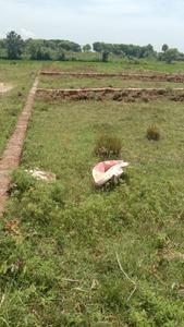 Bomikhal Plot View 2