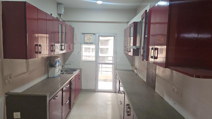 Exotica Fresco Main Image 1