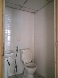 Common Bathroom Image of 1150 Sq.ft 2.5 BHK Apartment / Flat for rent in Supertech Cape Town, Sector 74 Noida for Rs. 29000