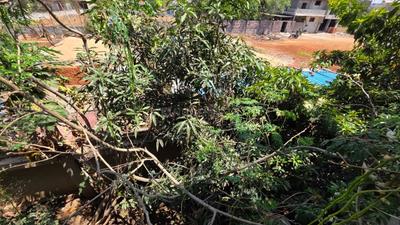 Balcony Image of 6500 Sq.ft 8 BHK Independent House for sale in Neelbad Bhopal for Rs. 45000000