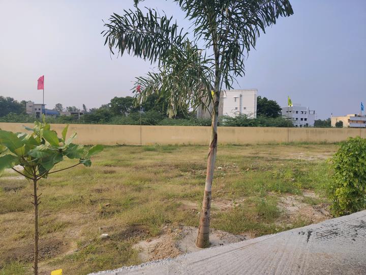 Rainbow Garden Main Image 1