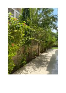 Image of 3987 Sq.ft 4 BHK Independent House for sale in Ambli, Ahmedabad for Rs. 100000000