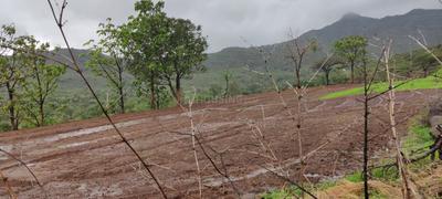 Image of 1000 Sq.ft 1 RK Farm House for sale in Khed Shivapur, Pune for Rs. 700000