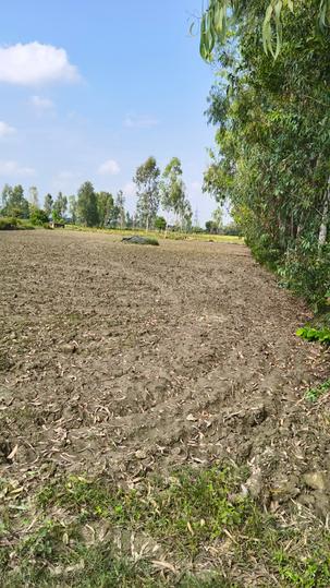 Bakshi Ka Talab Main Image 1