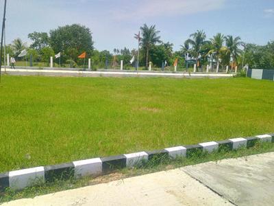 Residential Plot