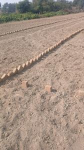 Image of 800 Sq.ft Residential Plot / Land for sale in Shahar Khas Basti Begam, Shahjahanpur for Rs. 200000
