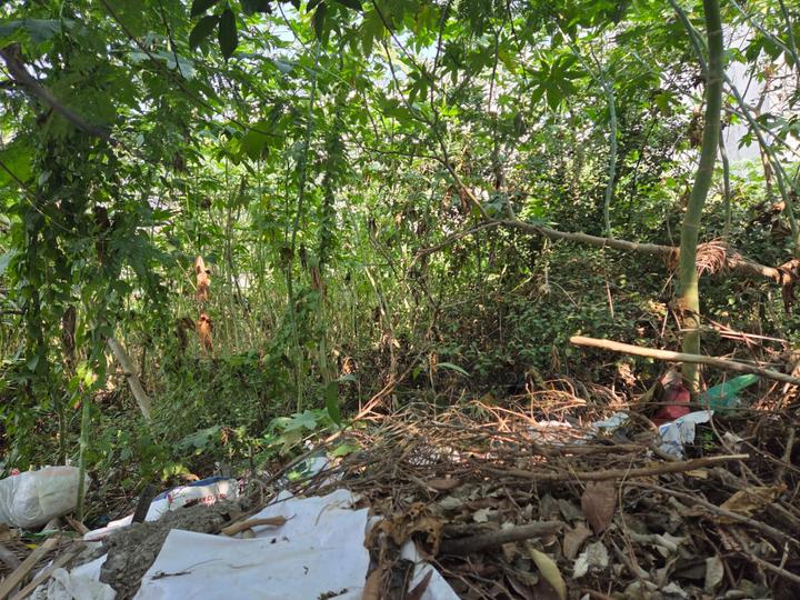 Vineet Khand 6, Gomti Nagar Main Image 1