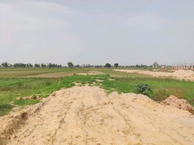 Residential Plot
