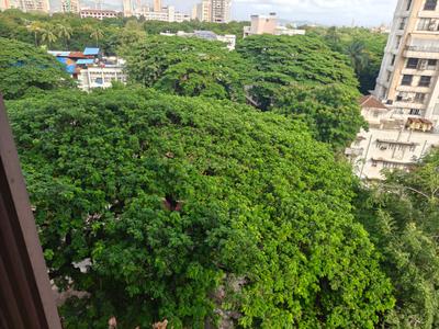 Balcony Image of 2500 Sq.ft 6 BHK Apartment / Flat for sale in Matunga East Mumbai for Rs. 135000000