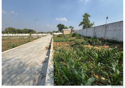 Saguna More Plot View 1