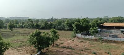 Image of Yuu in Adajan, Surat