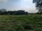 Puth Khurd Plot View 1