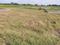 Dasna Plot View 2