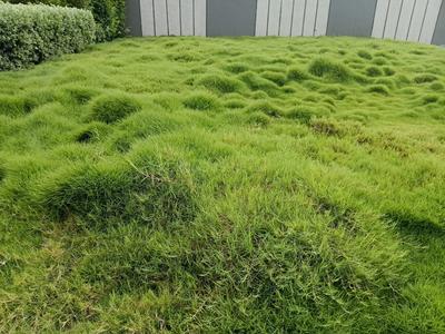Image of 800 Sq.ft Residential Plot / Land for sale in Shanti Greens, Kanadiya, Indore for Rs. 4800000