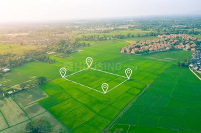 Image of 120 Sq.ft Residential Plot / Land for sale in Barsana, Mathura for Rs. 5160000