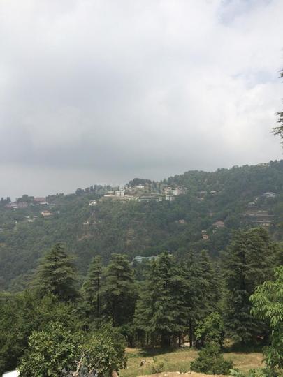 Sahastradhara Main Image 1