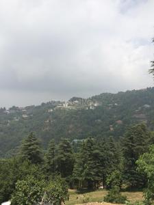 Residential Plot