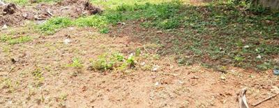 Image of 1410 Sq.ft Residential Plot / Land for sale in Pallikkara, Kochi for Rs. 2200000