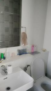 Image of 1800 Sq.ft 4 BHK Apartment / Flat for sale in Lodha Marquise, Worli, Mumbai for Rs. 90000000