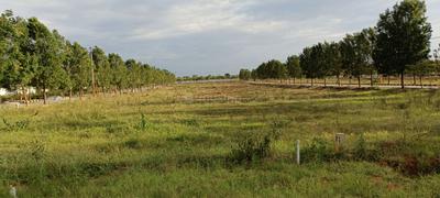 Image of 1504 Sq.ft Residential Plot / Land for sale in Lemoor, Hyderabad for Rs. 4676000