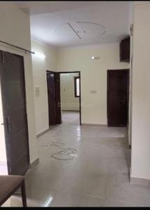 Hall Image of 900 Sq.ft 2 BHK Apartment / Flat for rent in DDA Rosewood Apartment, Sector 13 Dwarka New Delhi for Rs. 28000