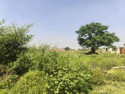 Image of 60 Sq.ft Residential Plot / Land for sale in Bhanauta, Greater Noida for Rs. 2114800