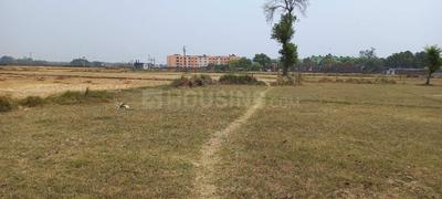 Image of 1000 Sq.ft Residential Plot / Land for sale in Sherghati, Gaya for Rs. 1100000