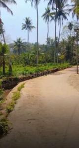 Image of 1550 Sq.ft 3 BHK Independent House for sale in Vattappara, Thiruvananthapuram for Rs. 13500000