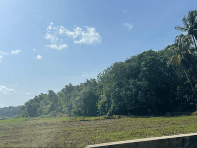 Image of 9600 Sq.ft Residential Plot / Land for sale in Aldona, Goa for Rs. 432000000