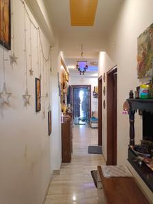 Passage Image of 550 Sq.ft 2 BHK Apartment / Flat for rent in Sector 105 Gurgaon for Rs. 22000