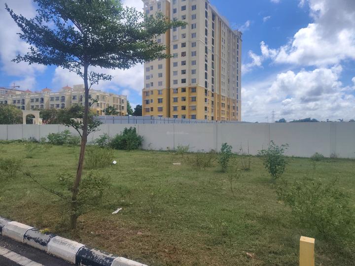 Alamo XS Real Castillo Main Image 1