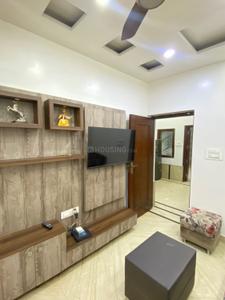 Hall Image of 650 Sq.ft 1.5 BHK Independent House for rent in Tri Nagar New Delhi for Rs. 20000