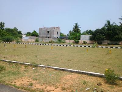 Residential Plot