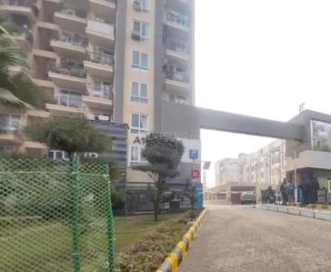 Image of 1180 Sq.ft 3 BHK Apartment / Flat for sale in Tulip White, Sector 69, Gurgaon for Rs. 16500000