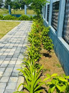 Image of 1300 Sq.ft Residential Plot / Land for sale in Mahalaxmi Nagar 51 Anaya, Samruddhi Mahamarg, Nagpur for Rs. 4595000