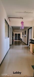 Hall Image of 1250 Sq.ft 2 BHK Apartment / Flat for rent in Dronagiri Navi Mumbai for Rs. 22000