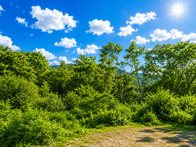 Image of 544 Sq.ft Residential Plot / Land for sale in Malsi, Dehradun for Rs. 46240000